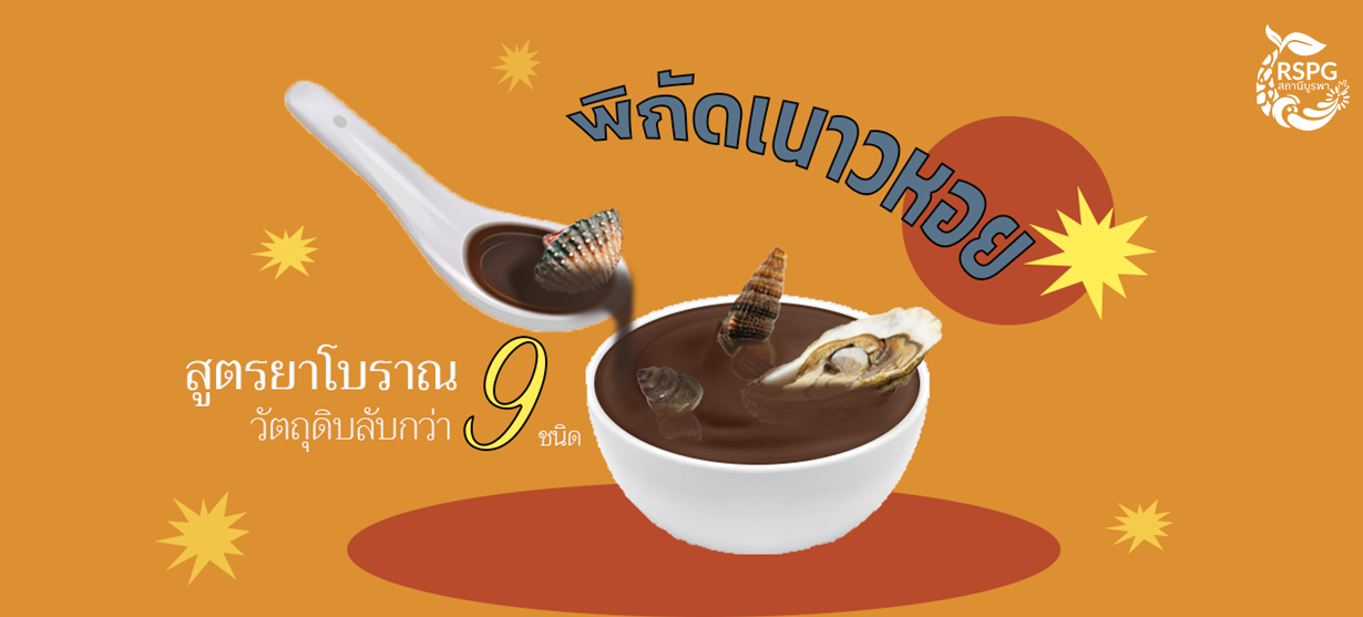 หวานเป็นลม หอยเป็นยา “พิกัดเนาวหอย” สูตรยาโบราณกับวัตถุดิบลับกว่า 9 ชนิด!