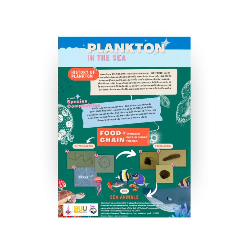 PLANKTON IN THE SEA