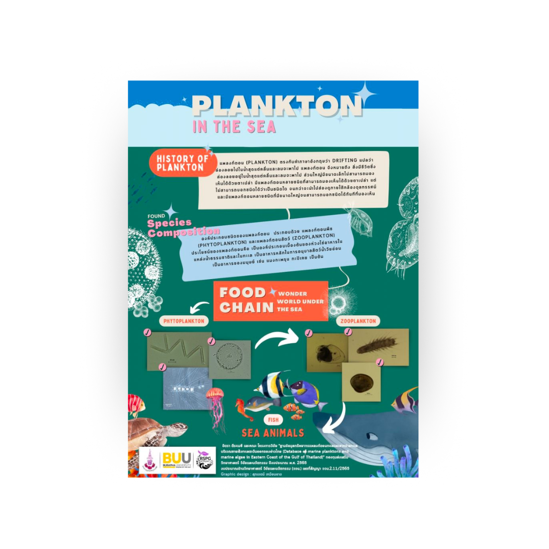 PLANKTON IN THE SEA