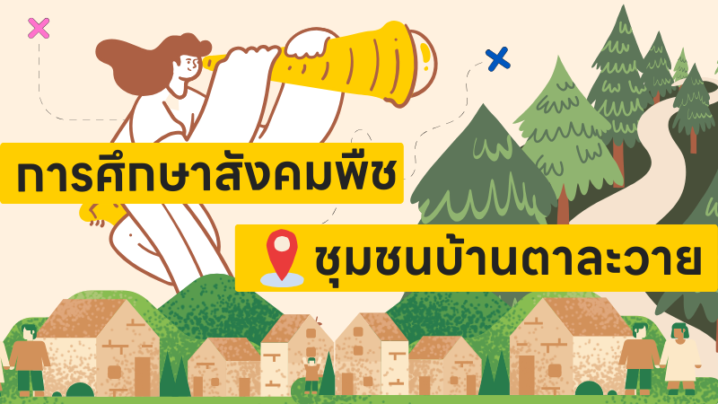 เบื้องหลังการสำรวจ | การศึกษาสังคมพืชชุมชนบ้านตาละวาย