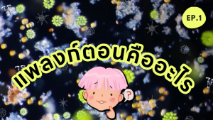 แพลงก์ตอน EP.1 | แพลงก์ตอนคืออะไร ?