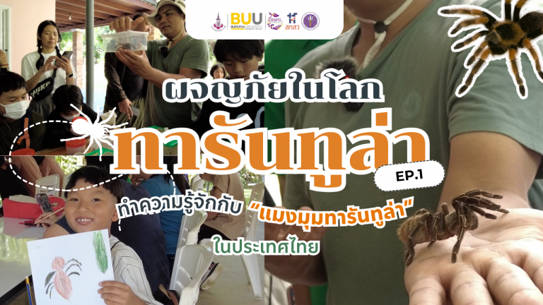 ผจญภัยในโลกทารันทูล่า | EP.1 ทำความรู้จักกับ “แมงมุมทารันทูล่า”