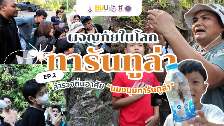 ผจญภัยในโลกทารันทูล่า | EP.2 สำรวจถิ่นอาศัย “แมงมุมทารันทูล่า”