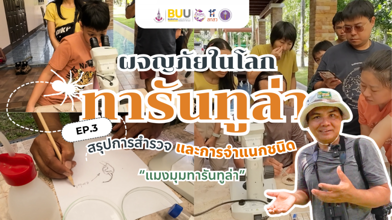 ผจญภัยในโลกทารันทูล่า | EP.3 สรุปการสำรวจ และการจำแนกชนิด “แมงมุมทารันทูล่า”